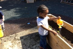 A Day In The Life Of Little Ducklings (Gardening)